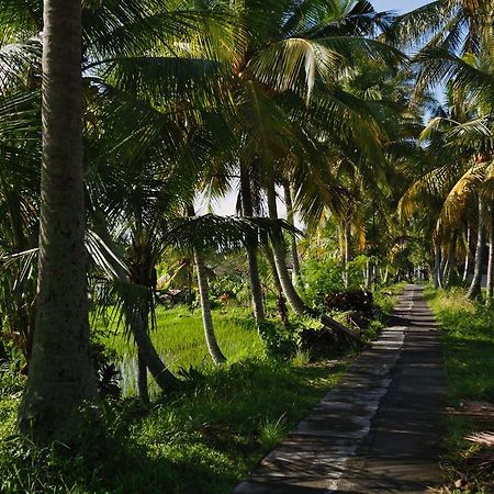 Satori Villas Bali Ubud Exteriér fotografie