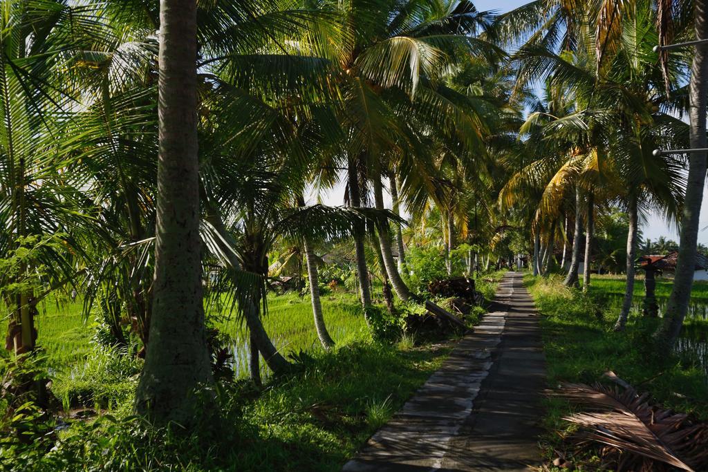 Satori Villas Bali Ubud Exteriér fotografie