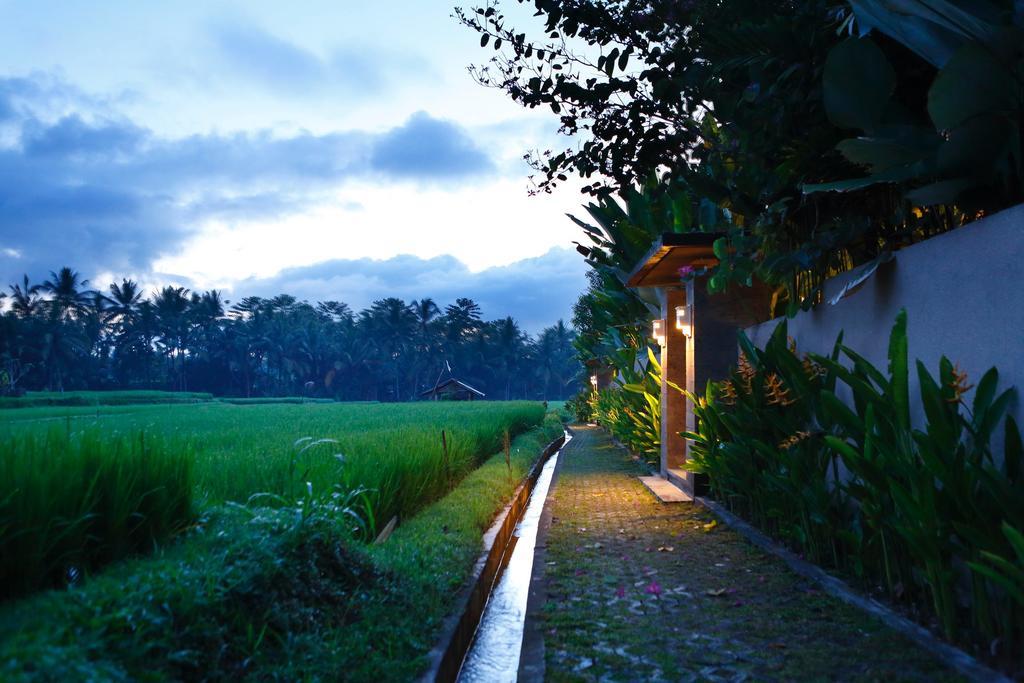 Satori Villas Bali Ubud Exteriér fotografie