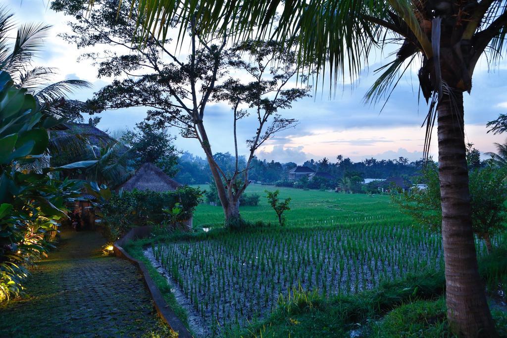 Satori Villas Bali Ubud Exteriér fotografie