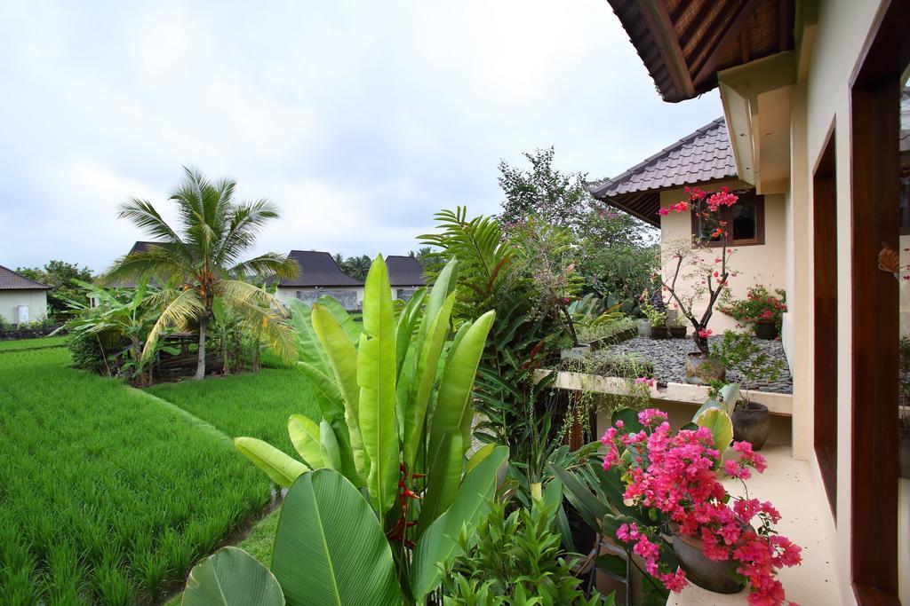 Satori Villas Bali Ubud Exteriér fotografie