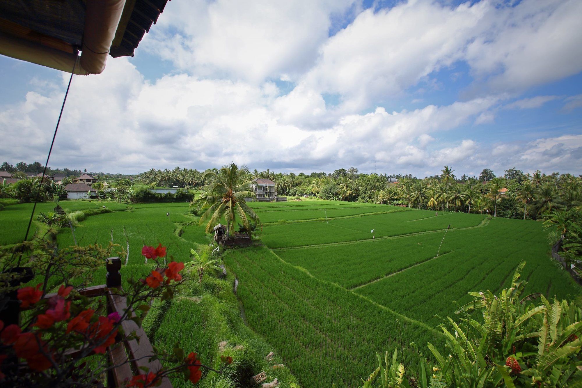 Satori Villas Bali Ubud Exteriér fotografie